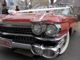 Caddy front 5672.jpg