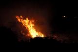 Fire fighters struggle to control the wild fire and prevent it from spreading towards the nearby town Matan