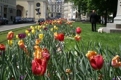 PICT0140.JPG