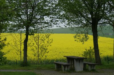 PICT0334.JPG