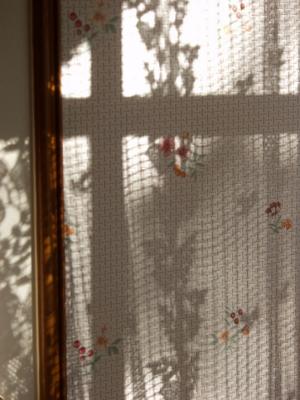 Shadows in the kitchen