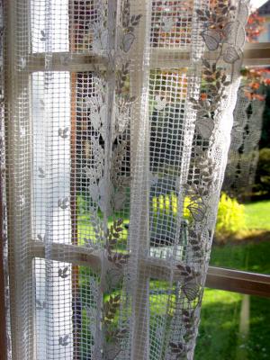 Curtains in the kitchen