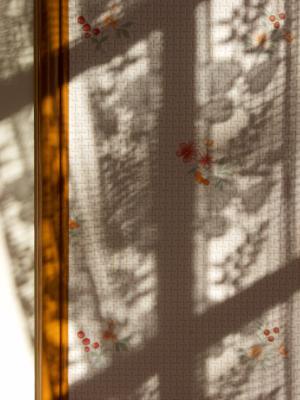 Shadows in the kitchen