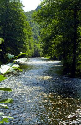 Gorges de la Vienne  Eymoutiers (Limousin)