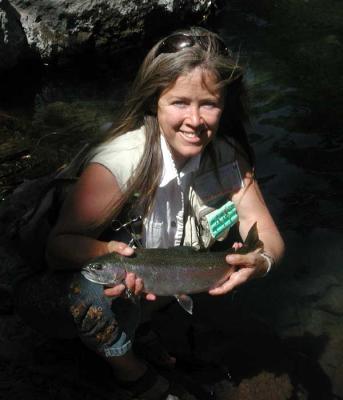 hamilton branch solo trip rainbow.