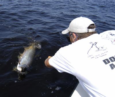 dan and capt greg 50lb tarpon landing 07-23-03