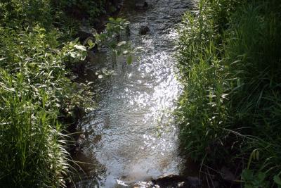 creek