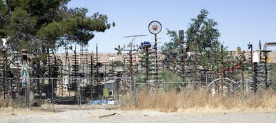 Bottle Tree Forest