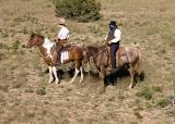 Train Robbers