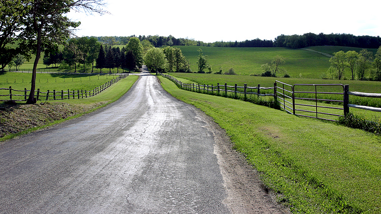 Serenity on a Country Road