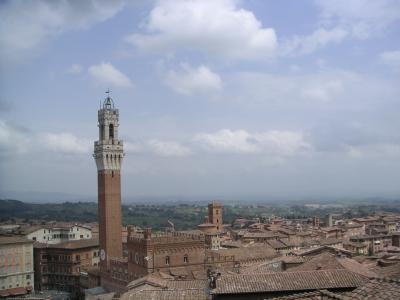 View from the top of the Duomo of Siena