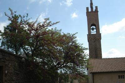 Montalcino