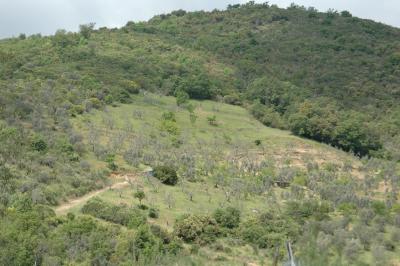 Hillside, Sant Antimo