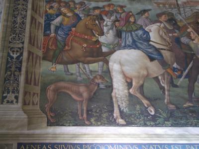 Greyhound in Siena, Courtesy of the Olins