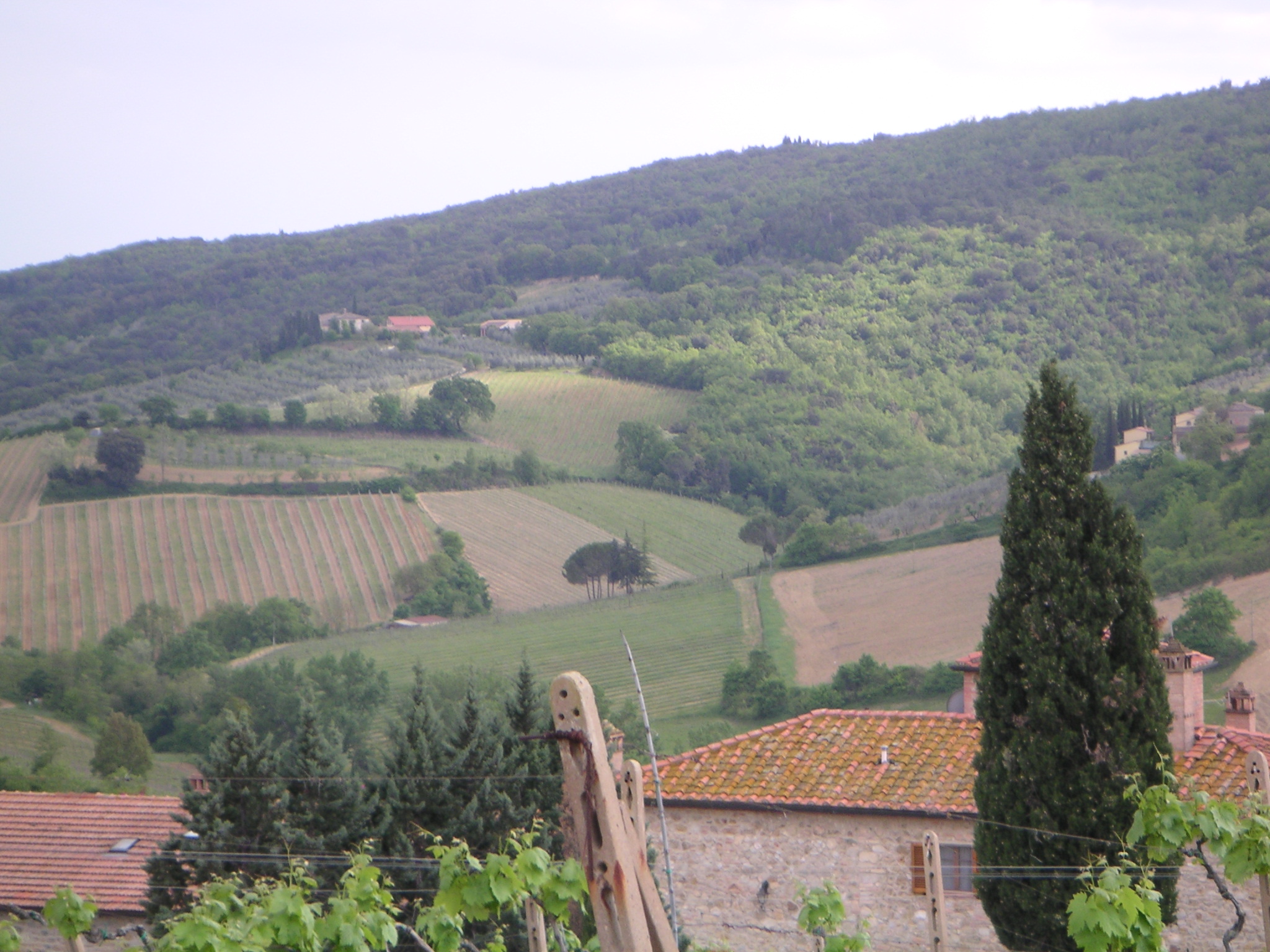 San Gimignano