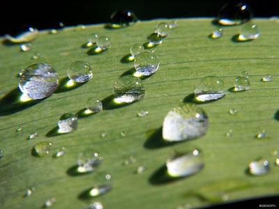 2353 stock raindrops image