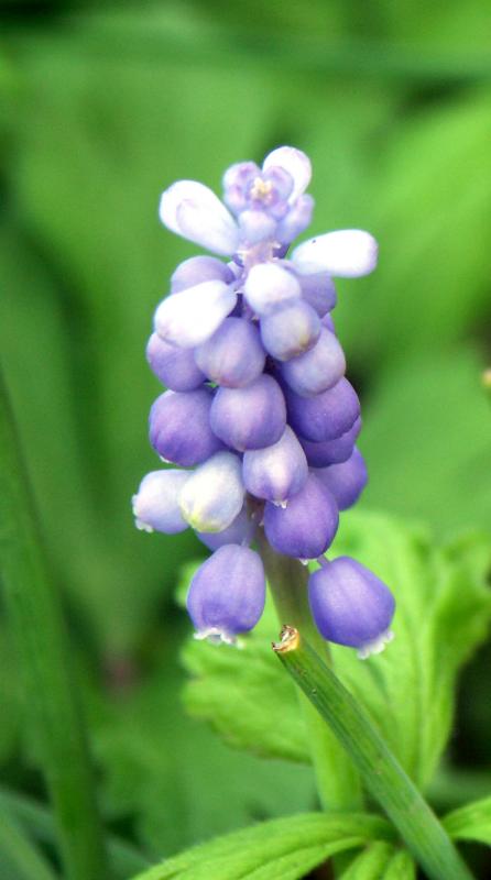 PICT0537
