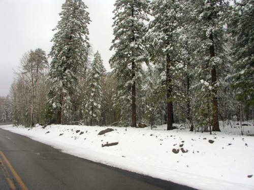 Snow
