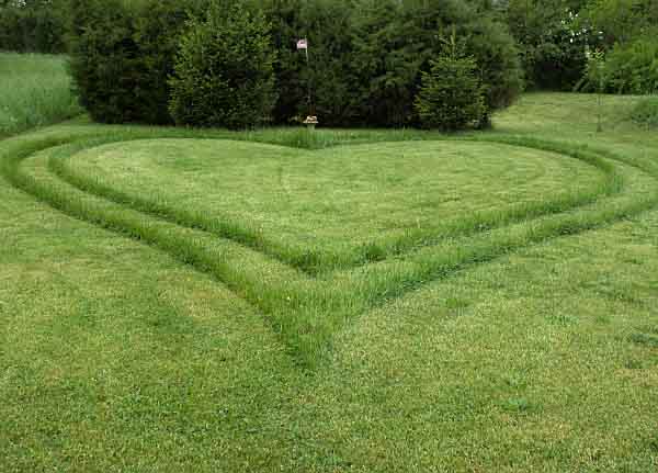 grass heart