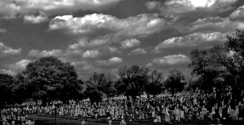 Grasves and Clouds
