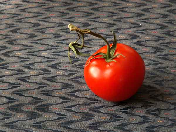 tomato