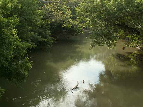 GREEN CREEK