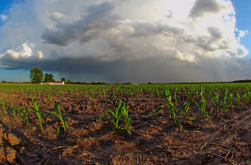 Storm Clouds Over Farmland