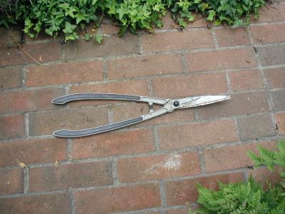 these are the hedge pruners that I use to prune the smaller stuff on the bowers...chop, chop, chop, chop ;-)