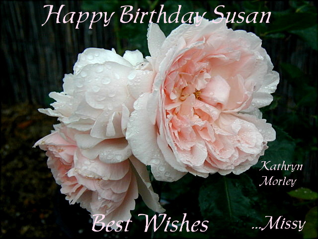 Susan