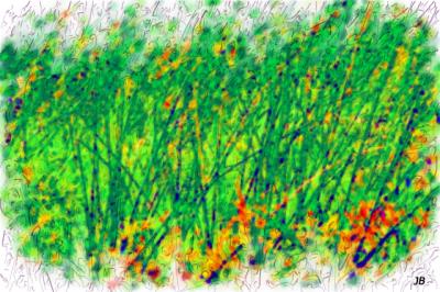 u26/mizoleila/medium/19500870.060120116MarshGrass.jpg