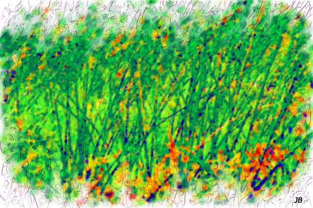 Marsh Grass