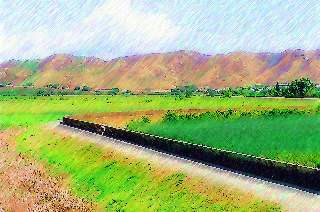 Marsh Walker, Hawaii