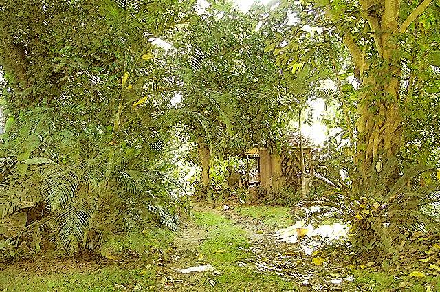 Kualoa
