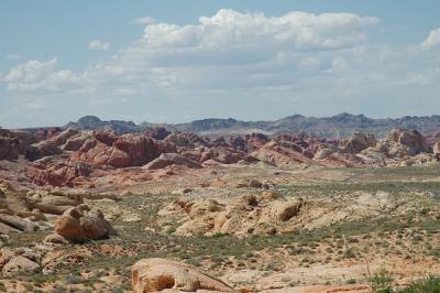 DSC_1159.jpg