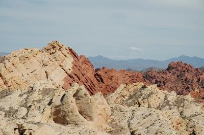 DSC_1169.jpg