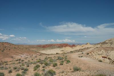 DSC_1186.jpg
