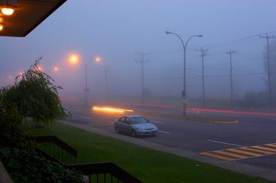 Misty Morning_MG_0120.jpg