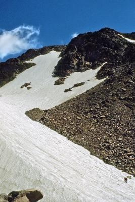 Glacier Ascent