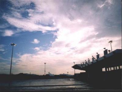 31f8.jpg