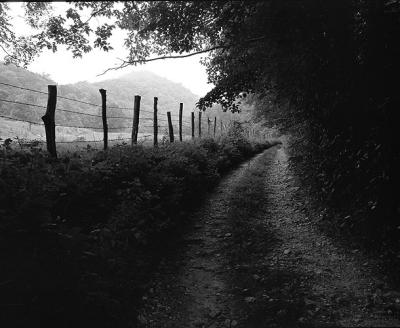 Old Wagon Road, near Cherokee, NC., 1978