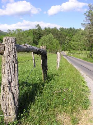 Fence