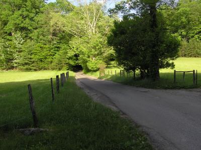Fence
