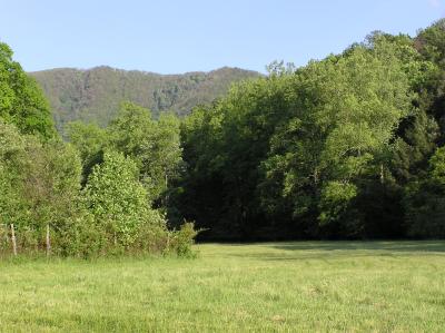 Dan Lawson Property