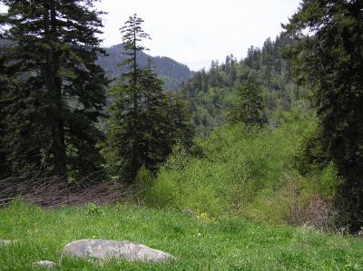 Pull-off View