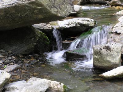 Water & Rocks