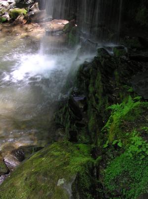 Grotto Falls