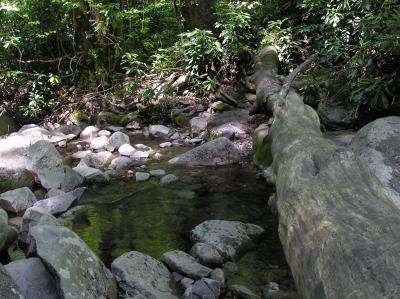 Fallen Tree, Water & Rocks