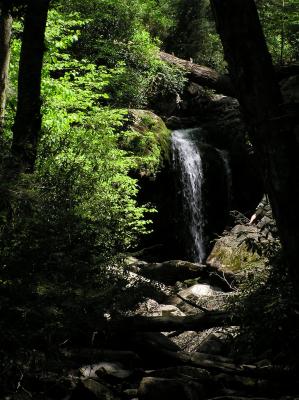 Grotto Falls