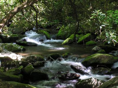 Rushing Waters