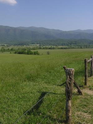View From Path